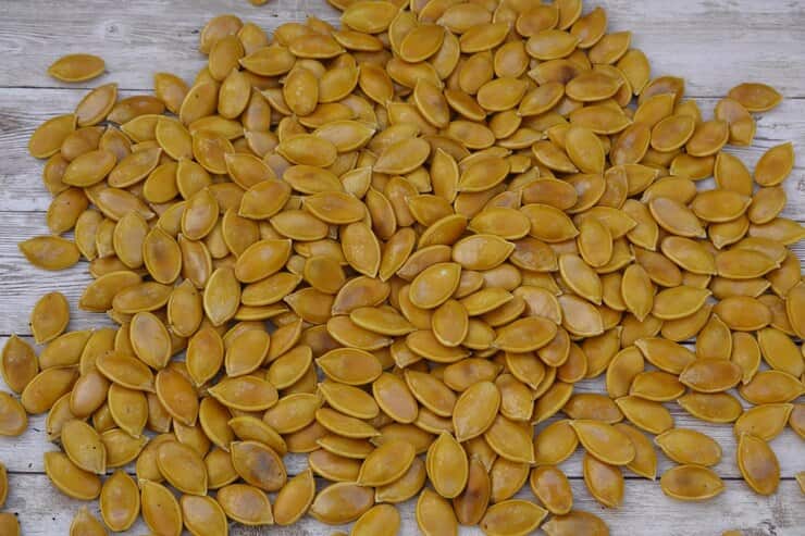 خرید تخمه کدو بو داده  + قیمت فروش استثنایی